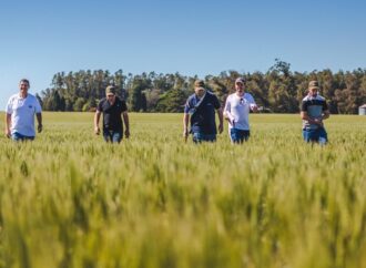 Un “agrotour” para anticipar cómo viene la cosecha fina en el corazón triguero nacional