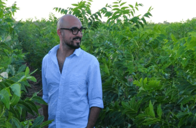 Abel Pintos redobla su apuesta por el agro: ahora invertirá en aceite de oliva y pistacho