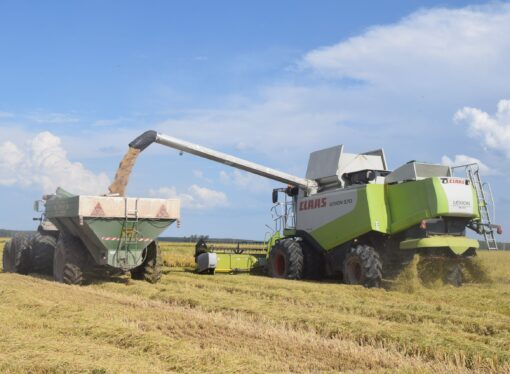 Campaña de arroz: «Corrientes tiene la capacidad de producir algo que se diferencia del resto»