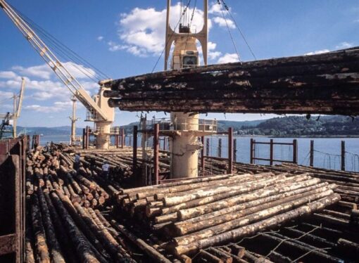 Entidad foresto-industrial expresa preocupación por la importación de viviendas de madera