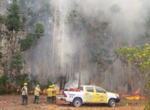 El fuego arrasó con miles de hectáreas en Corrientes: una docente murió cuando ayudaba a combatir el incendio