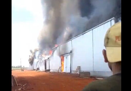 Incendio en la yerbatera Playadito: se perdieron más de dos millones de kilos de yerba