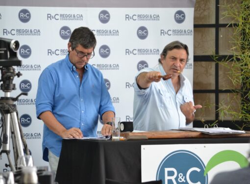 Remate de 13.500 cabezas en la Sociedad Rural de Corrientes