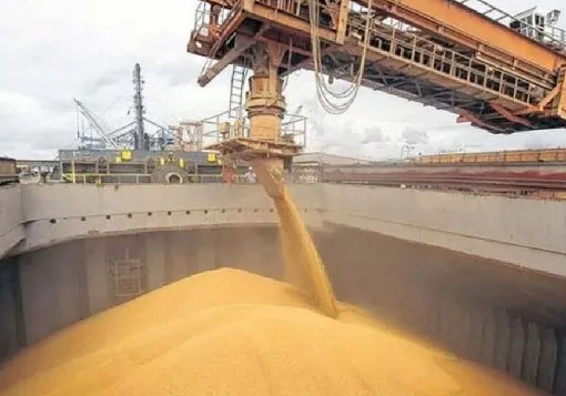 Gigante del agro anunció despidos a nivel mundial que afectarían a Argentina
