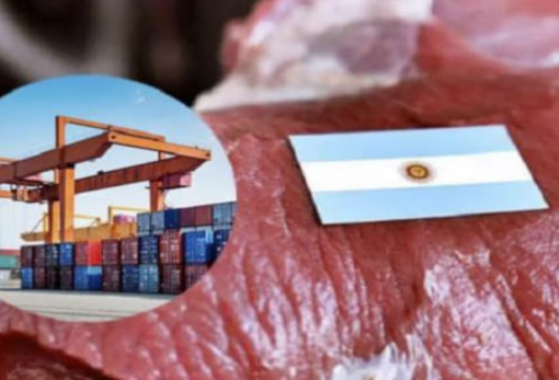 La carne vacuna logró un récord de exportaciones