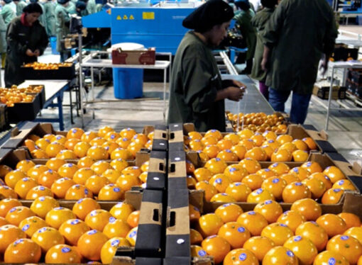 Las economías regionales buscan subir al tren exportador, pero sufren por la competitividad