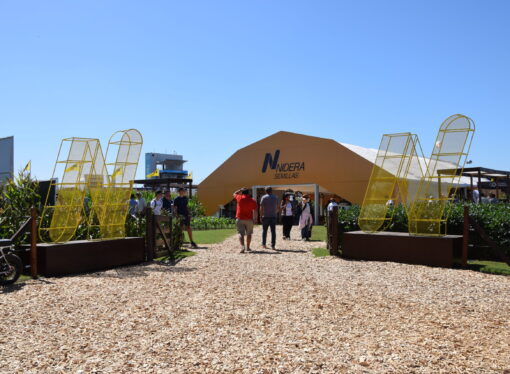 Lo mejor de las semillas en Expoagro: genética + IA para cada lote