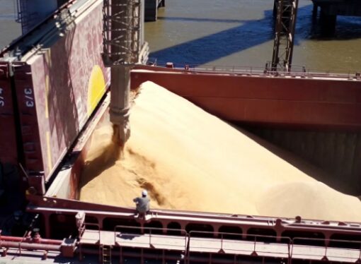 El sudeste asiático se consolida como el principal socio comercial del agro argentino