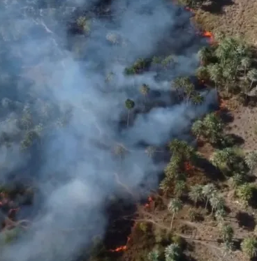 Nuevos focos de incendios en Corrientes preocupación en la zona de Herlitzka