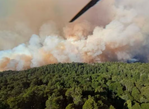 La Sociedad Rural apoyó el proyecto para agravar las penas de quienes provoquen incendios