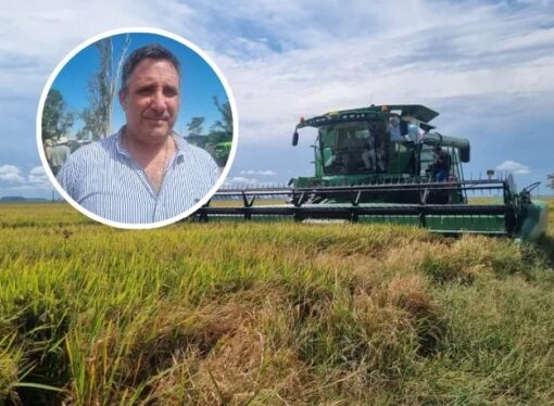 Desde Nación destacan a Corrientes por impulsar la competitividad de su producción arrocera