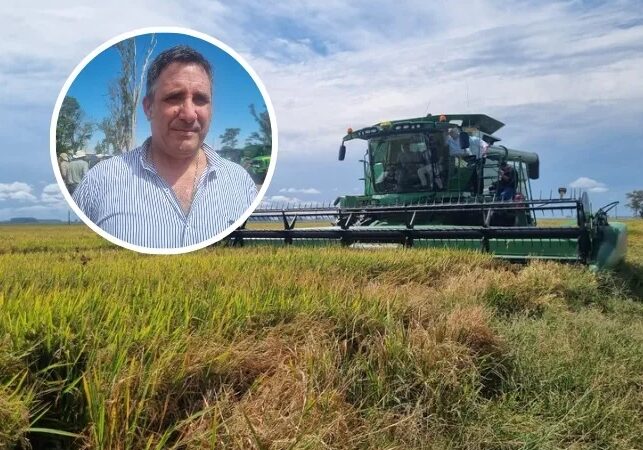 Desde Nación destacan a Corrientes por impulsar la competitividad de su producción arrocera
