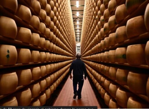 Rematan 437 toneladas de queso de SanCor en plena crisis financiera