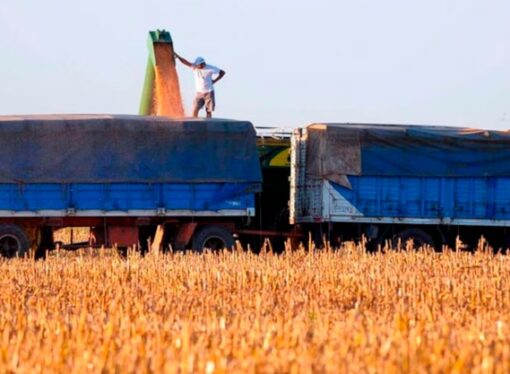 Piden que el dinero ahorrado por la suspensión de las PASO se destine a bajar las retenciones al agro