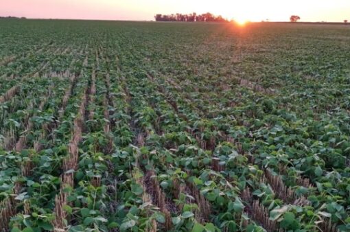 La confianza del agro sufre la mayor caída desde 2019, afectada por el clima y los mercados
