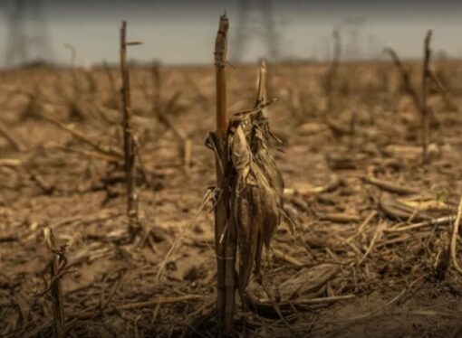Megasequías afectan a seis continentes y ponen en riesgo la estabilidad global