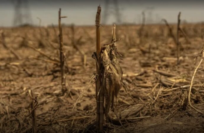Megasequías afectan a seis continentes y ponen en riesgo la estabilidad global
