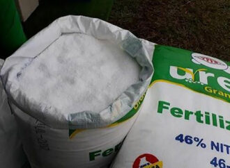 El Gobierno publicó el Decreto que simplifica la normativa sobre fertilizantes para el agro