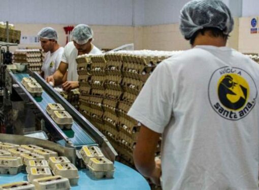 «El productor de huevos debe mirar costos y el bolsillo de los clientes»