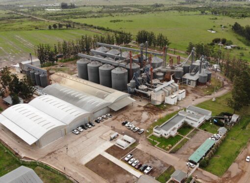Un gigante de las criptomonedas quiere el control de una empresa agropecuaria asentada en Corrientes
