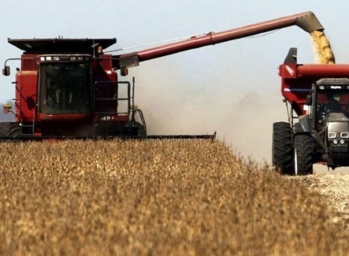 El agro registró una suba de 45% interanual en la liquidación de febrero