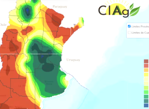 “Lluvias fuertes”: un especialista en clima dio un pronóstico categórico sobre lo que podría pasar con El Niño