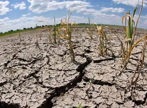 La ONU advierte que los eventos climáticos extremos ponen en riesgo la producción de alimentos en América Latina