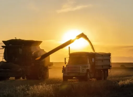 A pesar de la baja de retenciones, el campo comercializó menos soja y maíz
