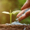 El 65% de los fertilizantes que se usan en Argentina son importados