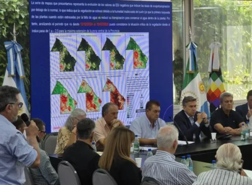 El gobierno declaró la emergencia agropecuaria por 180 días para el Chaco