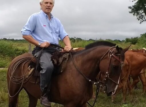 Aseguran que el Campo «está en crisis» y reclaman «un cambio de gestión» para el sector