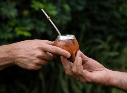 Gran hallazgo: revelan que el mate tiene una propiedad clave que podría evitar una grave enfermedad