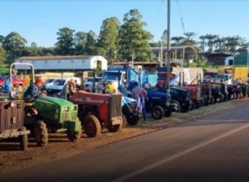 Productores yerbateros exigen medidas ante la caída de precios