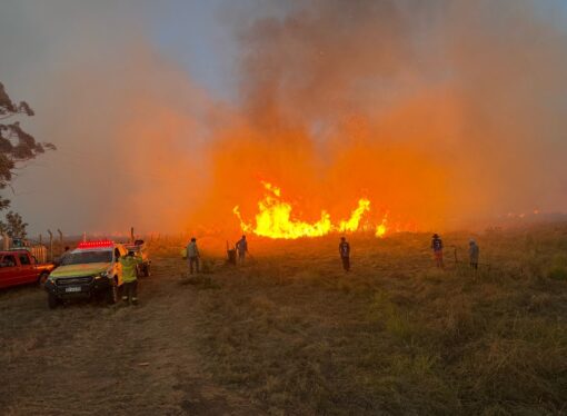 Productores desesperados por los incendios en Corrientes: piden más infraestructura