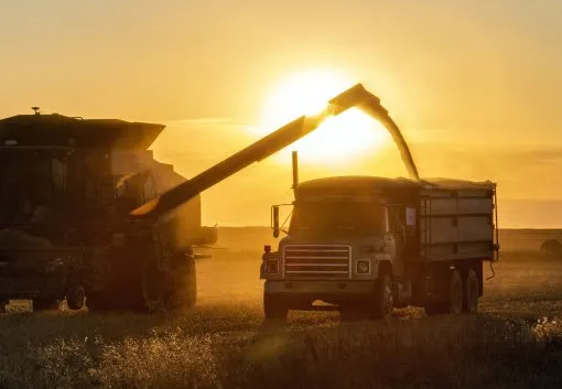 Economía: esperan que el Campo aporte US$229 millones más que el año pasado