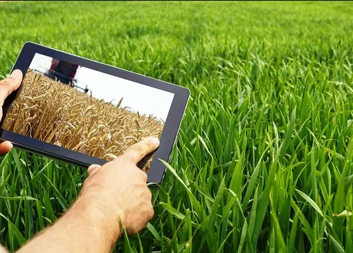 Campo: aplican Inteligencia Artificial para compra de insumos con menor huella ambiental