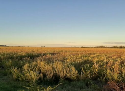 El campo reclamó más apoyo estatal y menos impuestos