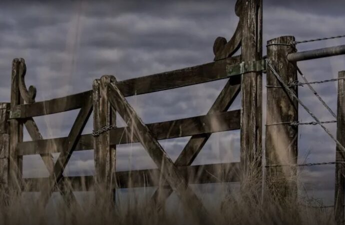 El Estado se queda con $58 de cada $100 de la renta agrícola