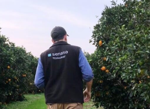 El Gobierno eliminó 61 regulaciones del Senasa