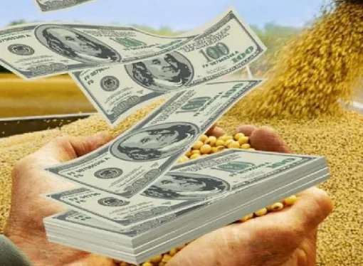 Los agroexportadores ingresaron u$s2.181 millones en febrero
