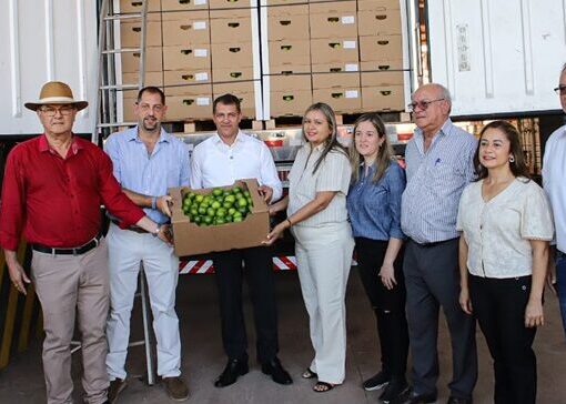 Paraguay sigue abriendo mercados para su fruta en la Argentina: Enviaron 26 mil kilos de una variedad de limón