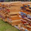 Industria forestal: clones de eucalipto, una alternativa con potencial para la bioenergía y la construcción