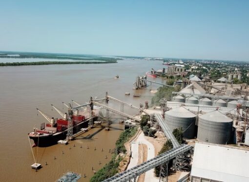 El ingreso de divisas del campo alcanzó casi U$S 2200 millones en febrero y creció 45% interanual