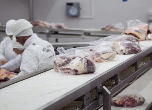 Récord en exportaciones de carne vacuna: Argentina superó las 900 mil toneladas