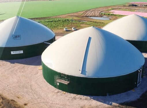 Nuevo mundo: una gigante “cripto” controlará uno de los mayores holdings del agro argentino