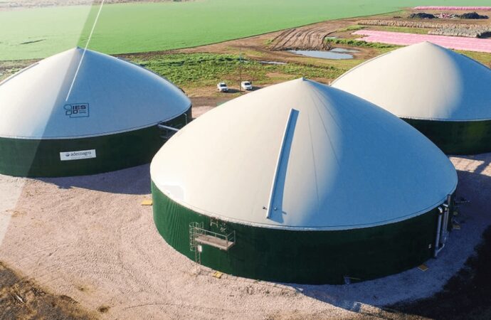Nuevo mundo: una gigante “cripto” controlará uno de los mayores holdings del agro argentino