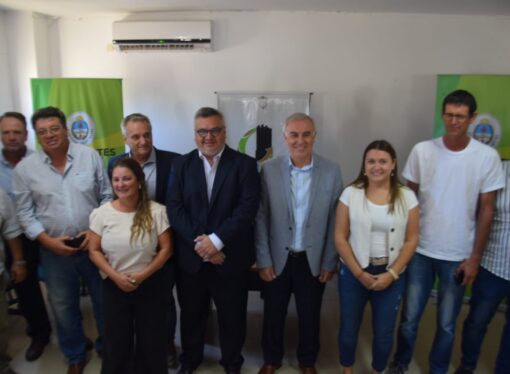 Proyectan entregar 120 mil plantas de naranja para fortalecer la producción de Corrientes