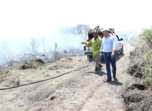 Más de 139.000 hectáreas quemadas en lo que va del año en Corrientes
