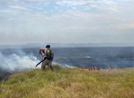 Desde la Sociedad Rural destacan la asistencia a los productores de Corrientes afectados por los incendios