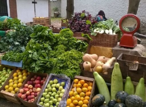 La sequía de los últimos meses impactó en los precios de algunas verduras
